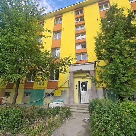 Mural Art Apartament Petroşani 외부 사진