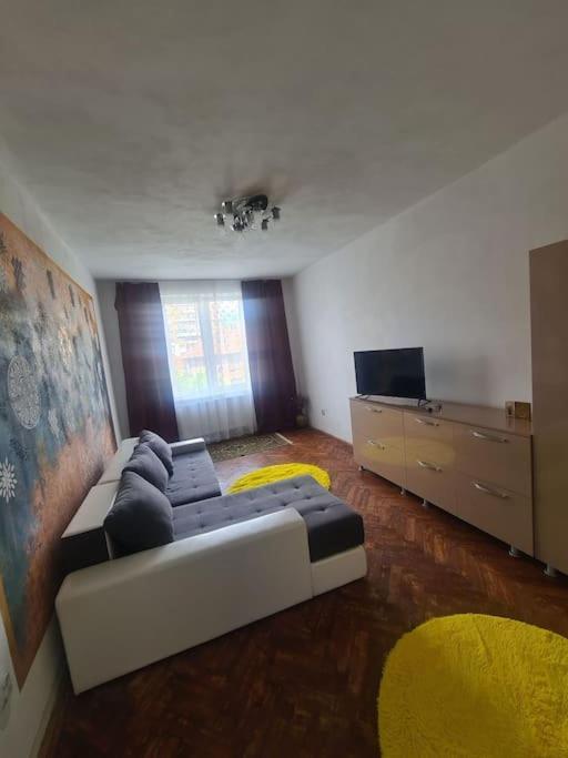 Mural Art Apartament Petroşani 외부 사진
