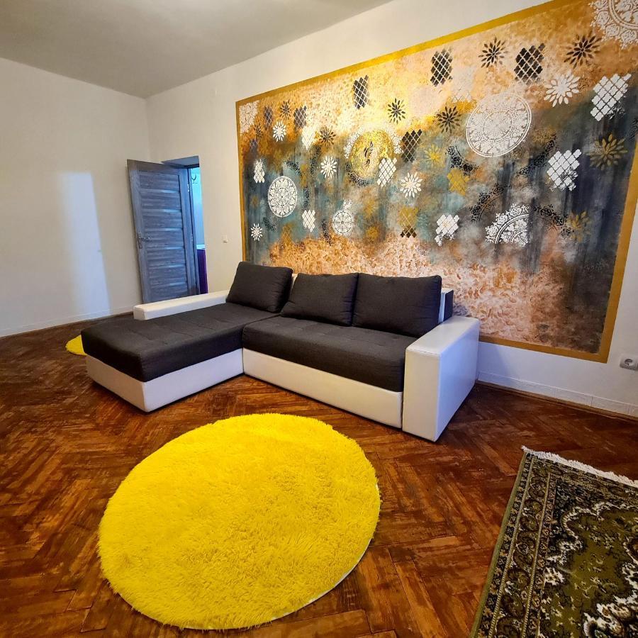 Mural Art Apartament Petroşani 외부 사진